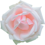 dcc50cbb (150x149, 44Kb)